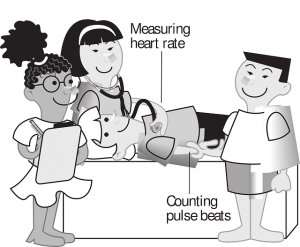 heart-rate-148160_640