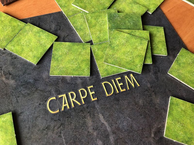 Carpe_Diem_Jeux_de_societe_Ludovox (7)