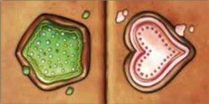 Gingerbread_House_jeux_de_societe_Ludovox02