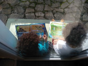 Livrejeu_jeu_lUdovox