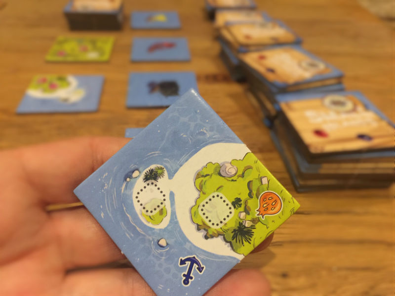 Small_island_Jeux_deSociete_Ludovox (3)