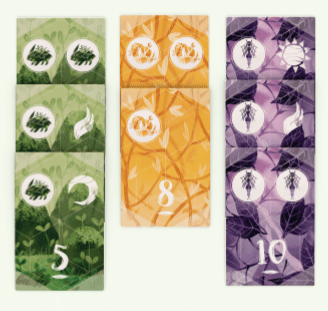 Spirit_of_The_Forest_Jeux_de_societe_Ludovox (2)