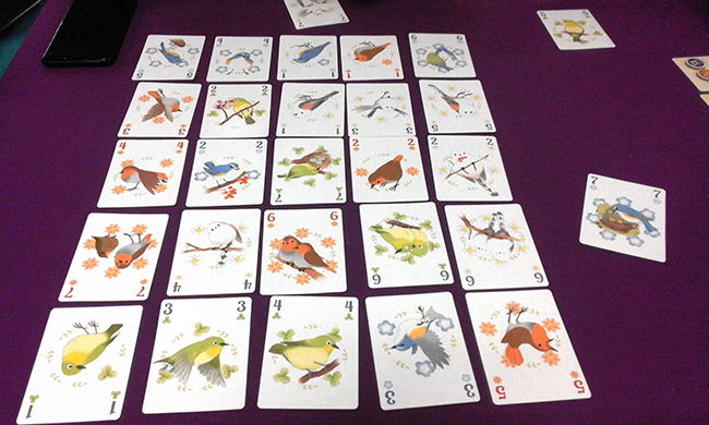 bird-songs-song-bird-ludovox