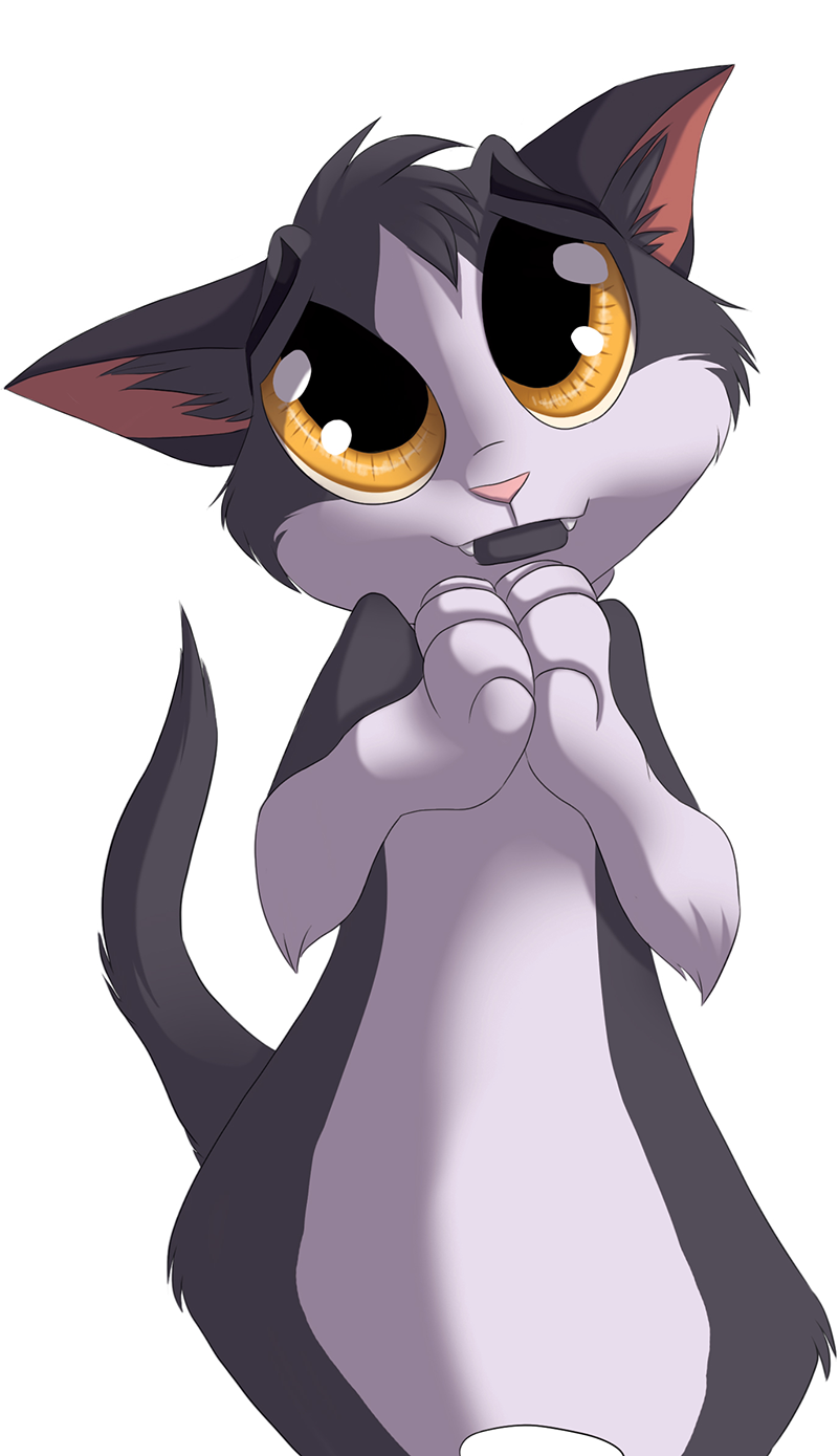 chat-Illu_Chaussette_Ronron