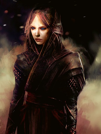 goinard-fremen-ludovox