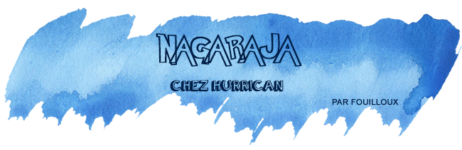 retour-salon-nom-des-jeux-Nagraja