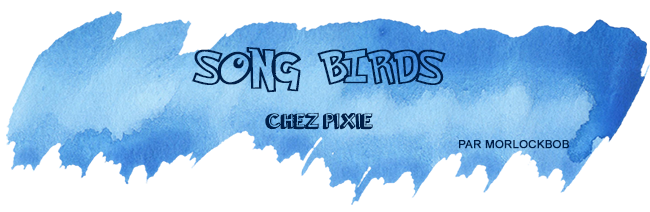 retour-salon-song-birds