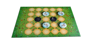 ENTOUR-plateau-BAGH-BANDI