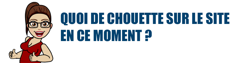 UP-quoi-de-chouette-sur-le-site--Ludovox-Jeu-de-societe