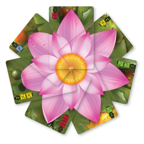 lotus jeu de societe 2+