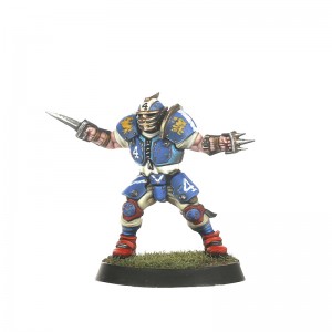 blood-bowl-2016-jeu-figurine