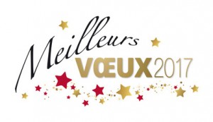 meilleurs-voeux-2017