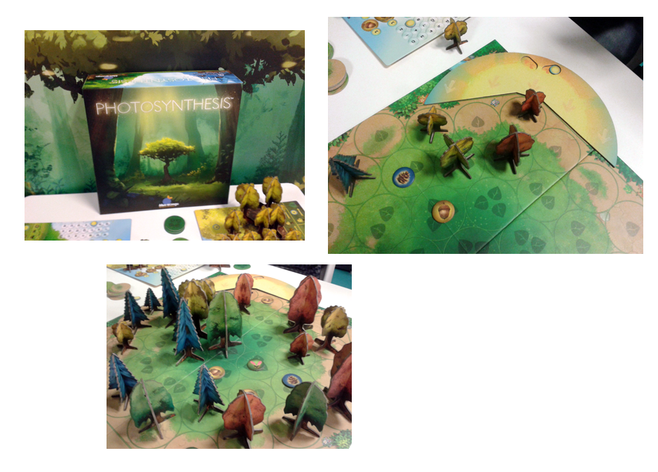 photosynthesis-ludovox