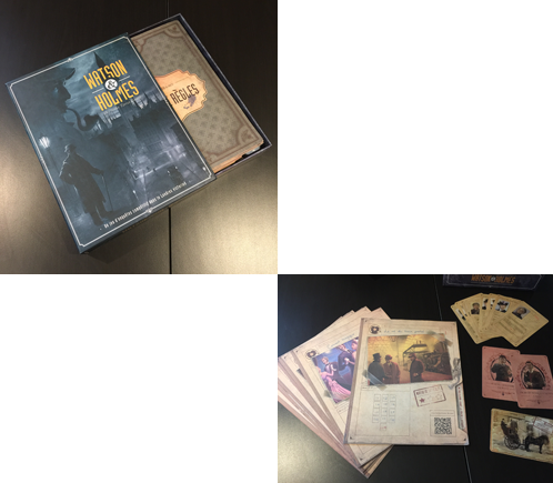 watson-&-holmes-article-FIJ-2017