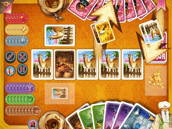 Jaipur_rappel-mouvement