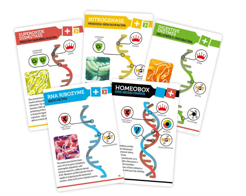 Bios_Genesis_Jeux de_societe_Ludovox (1)