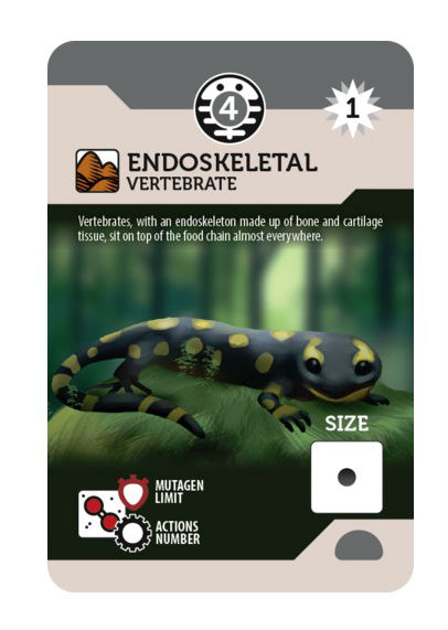 bios-megafauna_jeux_de_societe_Ludovox (2)