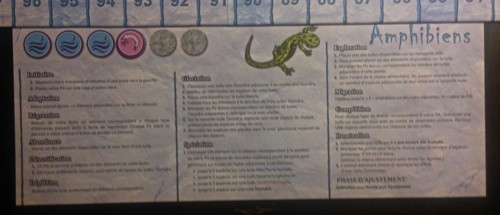 Les amphibiens