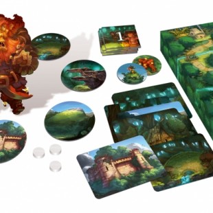 Le Petit Poucet et ses variantes