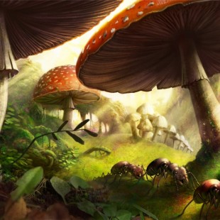 3 questions à Yoann Levet, auteur de Myrmes