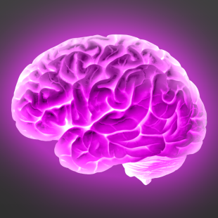 Purple Brain, Puuurple Braaaaain : un nouvel éditeur de jeux de société est né !