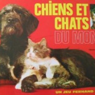Chiens et Chats du Monde