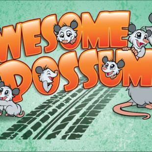 Awesome Possum