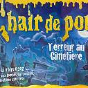 Chair de Poule
