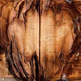 Veritas, des livres brulent