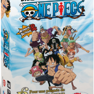 One piece : Pour une poignée de Berrys