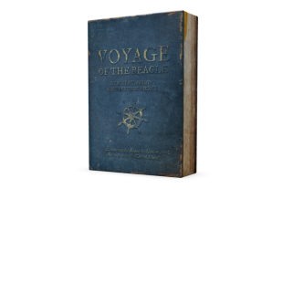 Robinson Crusoe : Extension Voyage of the Beagle