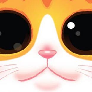 Cat Tower, on est vendredi, c’est le jour du poisson !