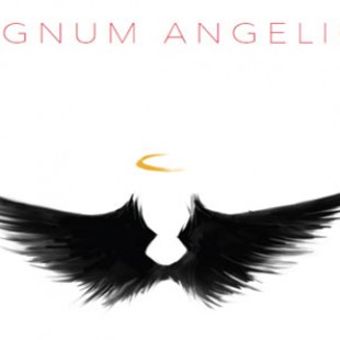 Regnum Angelica : la surprise de la BGG.CON