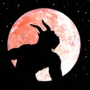 Interview avec Trollune