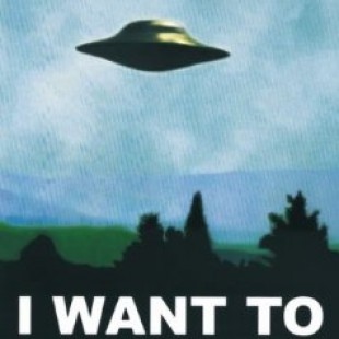 Game Market : What the ファック ! (*F—)