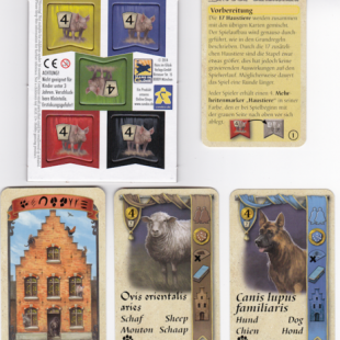 Brügge: Die Haustiere