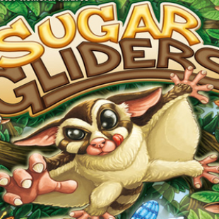Plaisir coupable : Sugar Gliders