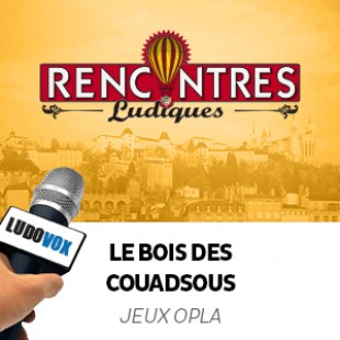 Rencontres Ludiques 2015 – Le bois des Couadsous – Jeux Opla