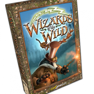 Wizards of the Wild : dernières heures sur KS maintenant !