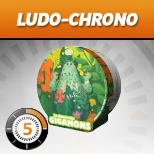 LudoChrono – La chasse aux Gigamons