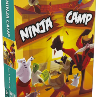 Ninja Camp