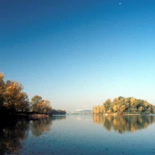 Édito du 17/06/15 – Paris je t’aime ! (Et Miribel aussi)
