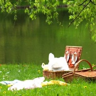 Baignade et pique-nique Ludovox