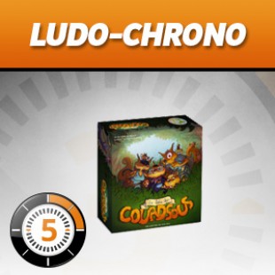 Ludochrono – Le bois des Couadsous