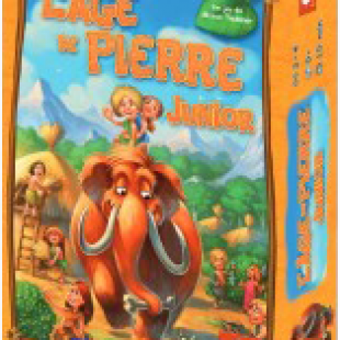 L&rsquo;age de pierre Junior