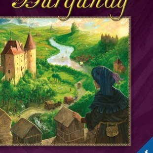 Le test de The Castles of Burgundy: The Card Game