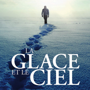 La glace et le ciel : cachez ce CO2 que je ne saurais voir