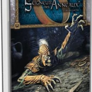 Le seigneur des anneaux JCE : Temple des Dupes