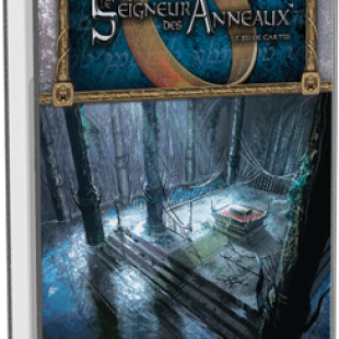 Le seigneur des anneaux JCE : Les Ruines Immergées