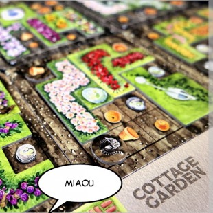 Des chats et des pots [Cottage Garden ]